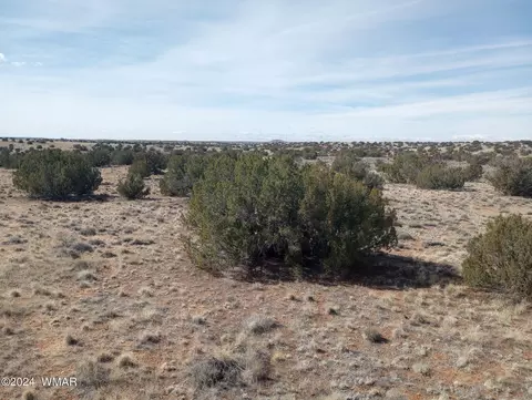 7664 Juniper Berry Trl, Snowflake, AZ 85937 photo 9