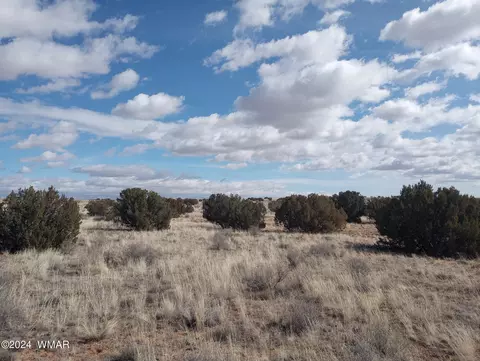 7664 Juniper Berry Trl, Snowflake, AZ 85937 photo 6