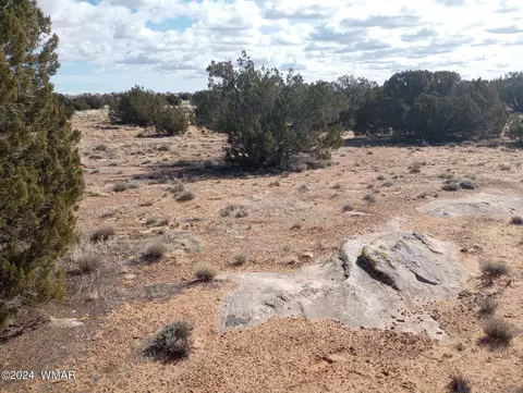 7664 Juniper Berry Trl, Snowflake, AZ 85937 photo 7