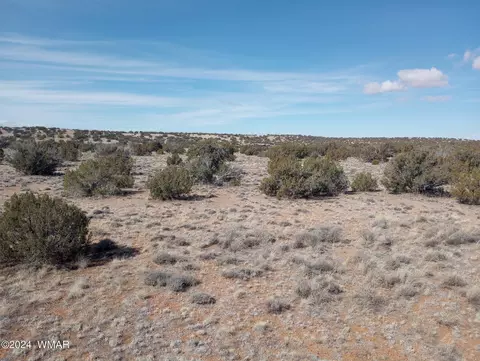 7664 Juniper Berry Trl, Snowflake, AZ 85937 photo 8