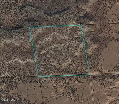 3674 Dusty Rd, Snowflake, AZ 85937