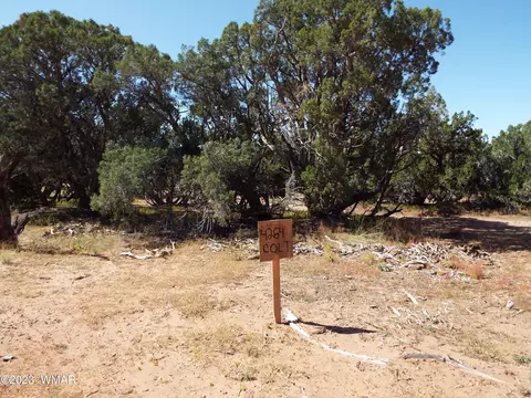 4264 Colt Rd, Snowflake, AZ 85937 photo 1