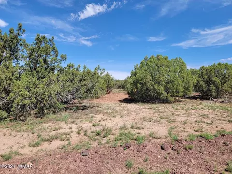 Tbd Cr 8281, Concho, AZ 85924