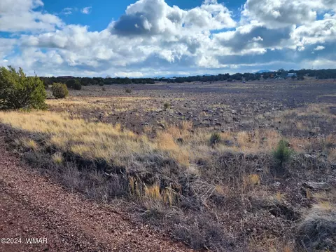 8517 Deer Run Dr, Show Low, AZ 85901