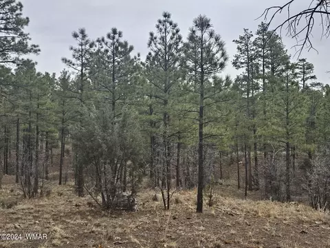 481 N Silverleaf Ln, Show Low, AZ 85901
