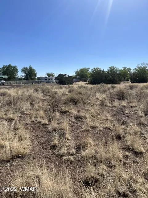 lot21 E Becker Lane Loop Or, Springerville, AZ 85938
