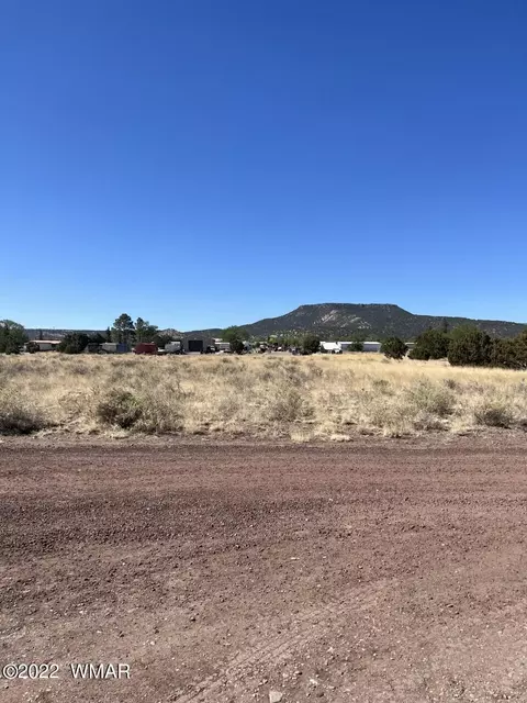 lot21 E Becker Lane Loop Or, Springerville, AZ 85938 photo 2