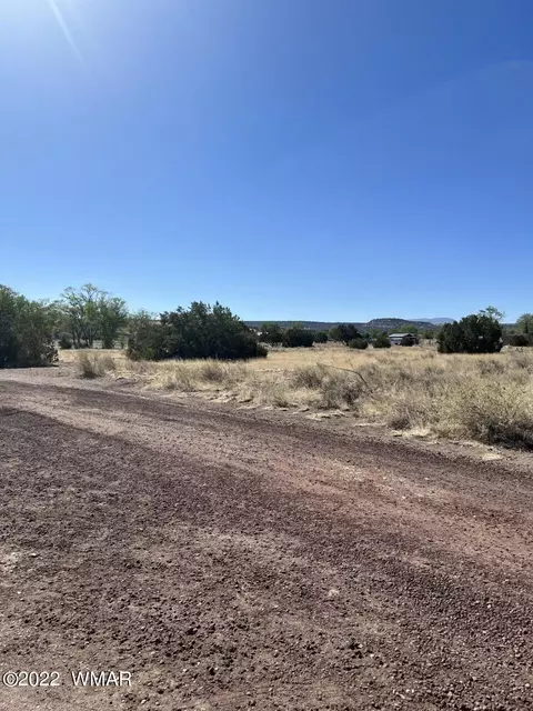 lot21 E Becker Lane Loop Or, Springerville, AZ 85938 photo 3