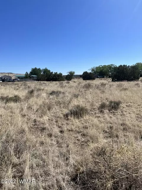 lot21 E Becker Lane Loop Or, Springerville, AZ 85938 photo 6