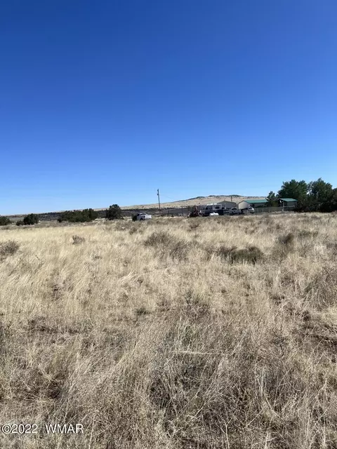 lot21 E Becker Lane Loop Or, Springerville, AZ 85938 photo 5