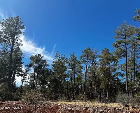 1191 W Snow Creek Trl, Show Low, AZ 85901