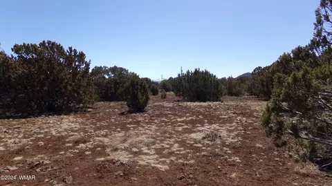12 N 3127 #320, Vernon, AZ 85940