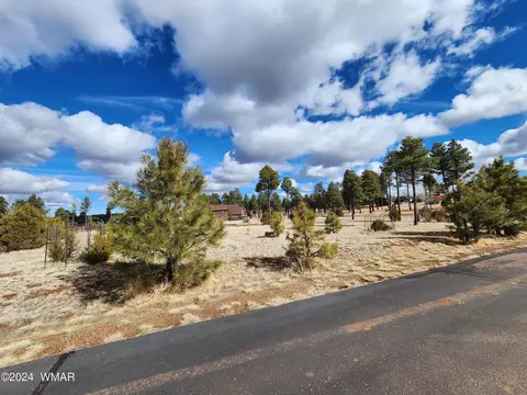 2246 Kodiak Cir, Overgaard, AZ 85933 photo 3