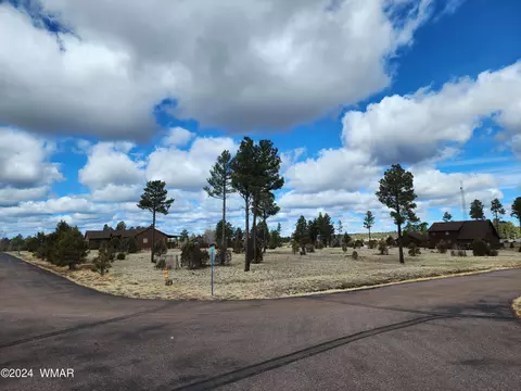 2246 Kodiak Cir, Overgaard, AZ 85933 photo 5