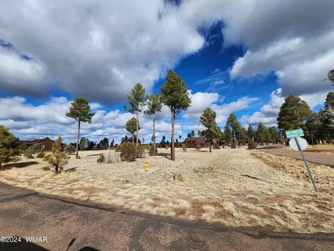 2246 Kodiak Cir, Overgaard, AZ 85933 photo 4