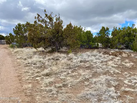 8418 Snowflake Cir, Show Low, AZ 85901