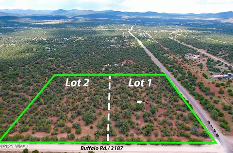 4 Co Rd 3187 #LOT 1, Vernon, AZ 85940
