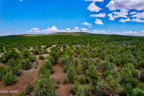 4 Co Rd 3187 #LOT 2, Vernon, AZ 85940