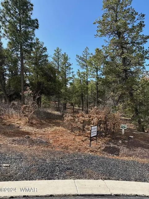 2280 S Stone Canyon Rd, Show Low, AZ 85901