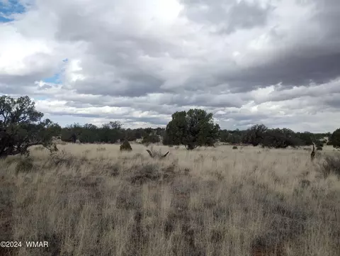 Tbd N9234, Concho, AZ 85924
