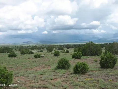 tbd Lot 44 Windsor Valley Rnch, Concho, AZ 85924