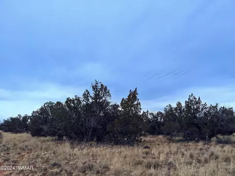 tbd Main St, Heber, AZ 85928 photo 3