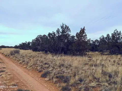 tbd Main St, Heber, AZ 85928 photo 6