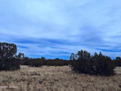 tbd Main St, Heber, AZ 85928