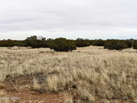 tbd Cramer Cir, Heber, AZ 85928