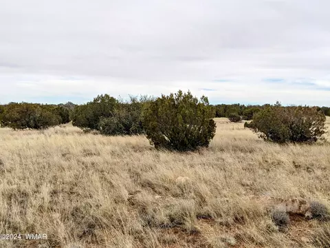 tbd Cramer Cir, Heber, AZ 85928 photo 6