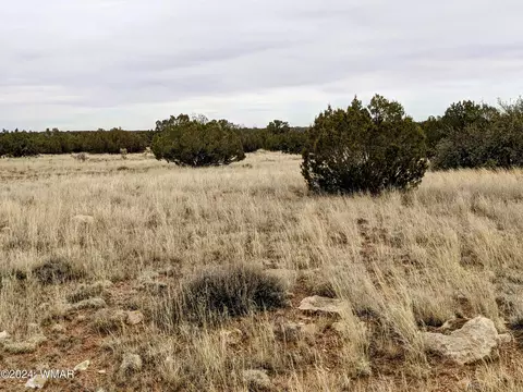 tbd Cramer Cir, Heber, AZ 85928 photo 2