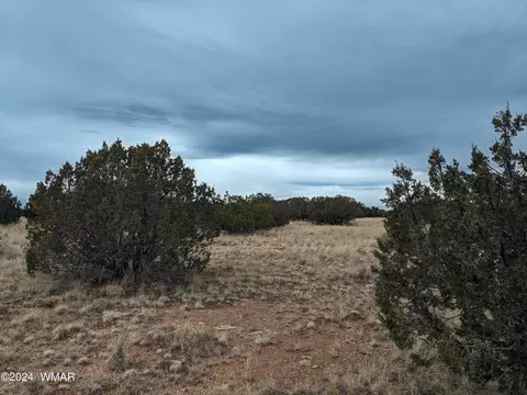 5234 Main St, Heber, AZ 85928 photo 6