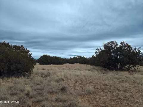 5234 Main St, Heber, AZ 85928 photo 5