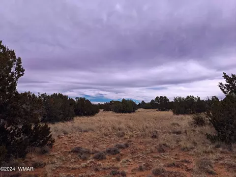 000 Main St, Heber, AZ 85928