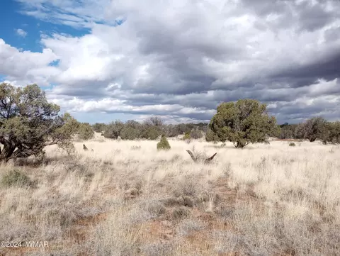 tbd N9234, Concho, AZ 85924