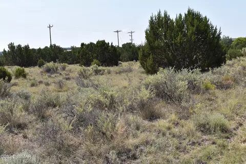 34 Alpine Ln, Concho, AZ 85924