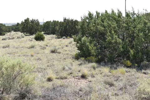 96 Alpine Ln, Concho, AZ 85924