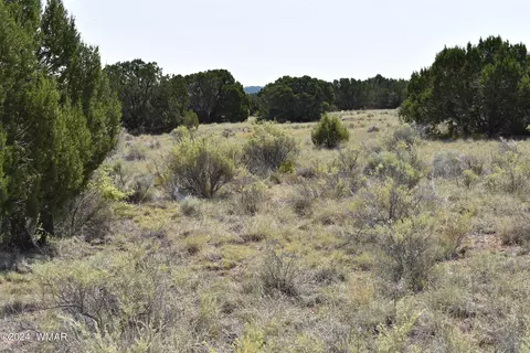 18 Crest Ln, Concho, AZ 85924