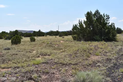 41 Dawn Ln, Concho, AZ 85924