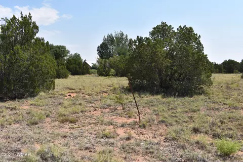 72 Dawn Ln, Concho, AZ 85924