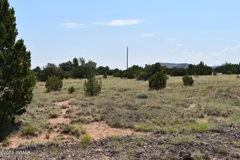 74 Evergreen Ln, Concho, AZ 85924