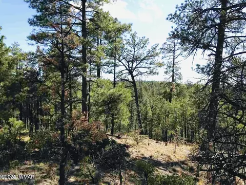 2281 S Bristlecone Dr, Show Low, AZ 85901
