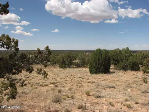 lot44 Chevelon Retreat #1, Heber, AZ 85928