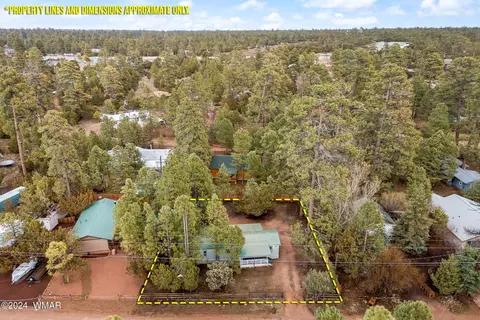 2897 Paint Pony Ln, Overgaard, AZ 85933 photo 36