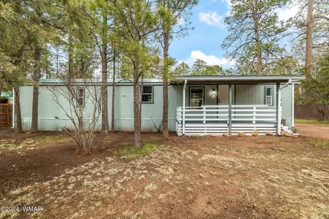 2897 Paint Pony Ln, Overgaard, AZ 85933 photo 3