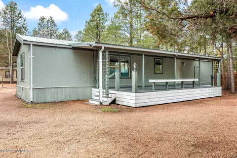2897 Paint Pony Ln, Overgaard, AZ 85933 photo 27