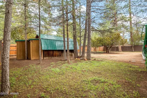 2897 Paint Pony Ln, Overgaard, AZ 85933 photo 29