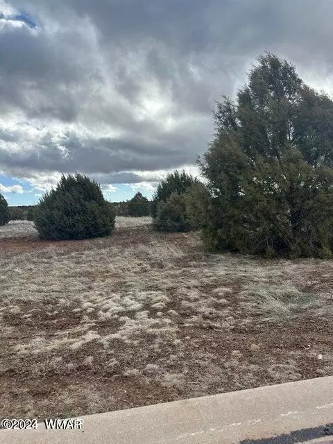 1121 S Ridgeline Dr, Show Low, AZ 85901