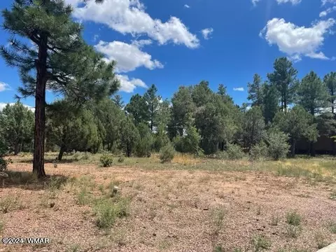 641 S Campbell Ln, Show Low, AZ 85901
