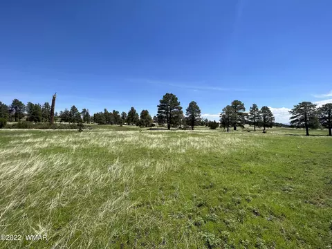 1 County Road, Greer, AZ 85927 photo 2